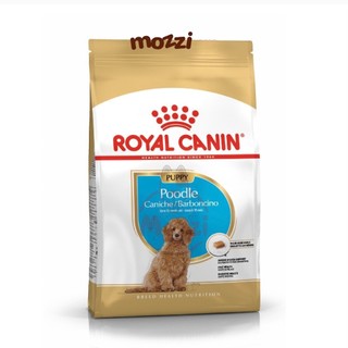 [500g - 1.5kg] Thức ăn hạt Royal canin Poodle Puppy Adult cho chó lông xoăn