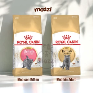Thức ăn hạt Royal Canin British Shorthair Kitten Adult cho mèo Anh lông ngắn