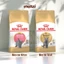 Thức ăn hạt Royal Canin British Shorthair Kitten Adult cho mèo Anh lông ngắn