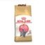 Thức ăn hạt Royal Canin British Shorthair Kitten Adult cho mèo Anh lông ngắn