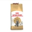 Thức ăn hạt Royal Canin British Shorthair Kitten Adult cho mèo Anh lông ngắn