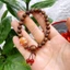 Vòng Trầm mix Dzi Mã Não tự nhiên – kết hợp giữa Tâm Linh & Thời Trang