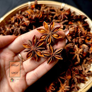 50g Hoa hồi, Đại hồi hương, dùng làm gia vị chế biến thức ăn-nông sản Dũng Ca