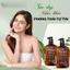 Combo Gội Xả Prosee Balancing AS13/AC13 500ml | Hỗ Trợ Làm Sạch Gàu, Giảm Dầu Bết, Tóc Mềm Mượt.