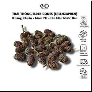 10 Trái Alder Cones (Erlenzaphen) Chất Lượng Cao (~3cm) | Dưỡng Cá Tép- Hạ pH – Diệt Khuẩn – Lên Màu Nước