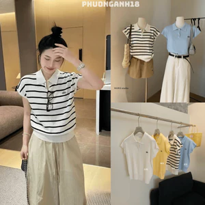 Áo polo cúc cài thêu chữ hàng QC 5701