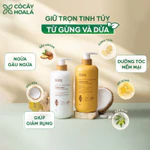 Dầu Gội Gừng Cỏ Cây Hoa Lá, Dầu Gội Thảo Dược Gừng Dừa Giảm Gàu Ngứa  650g/ chai-Dành Cho Tóc Khô Sơ — ảnh 3