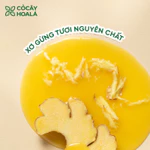 Dầu Gội Gừng Cỏ Cây Hoa Lá, Dầu Gội Thảo Dược Gừng Dừa Giảm Gàu Ngứa  650g/ chai-Dành Cho Tóc Khô Sơ — ảnh 5