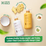 Dầu Gội Gừng Cỏ Cây Hoa Lá, Dầu Gội Thảo Dược Gừng Dừa Giảm Gàu Ngứa  650g/ chai-Dành Cho Tóc Khô Sơ — ảnh 6