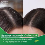 Dầu Gội Gừng Cỏ Cây Hoa Lá, Dầu Gội Thảo Dược Gừng Dừa Giảm Gàu Ngứa  650g/ chai-Dành Cho Tóc Khô Sơ — ảnh 7