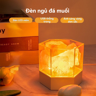 Night Light LED Light Decor Xung Quanh