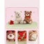 Gấu bông teddy ôm bó hoa hồng có ngăn để đồ làm quà tặng sinh nhật, valentine cho bạn gái,người yêu