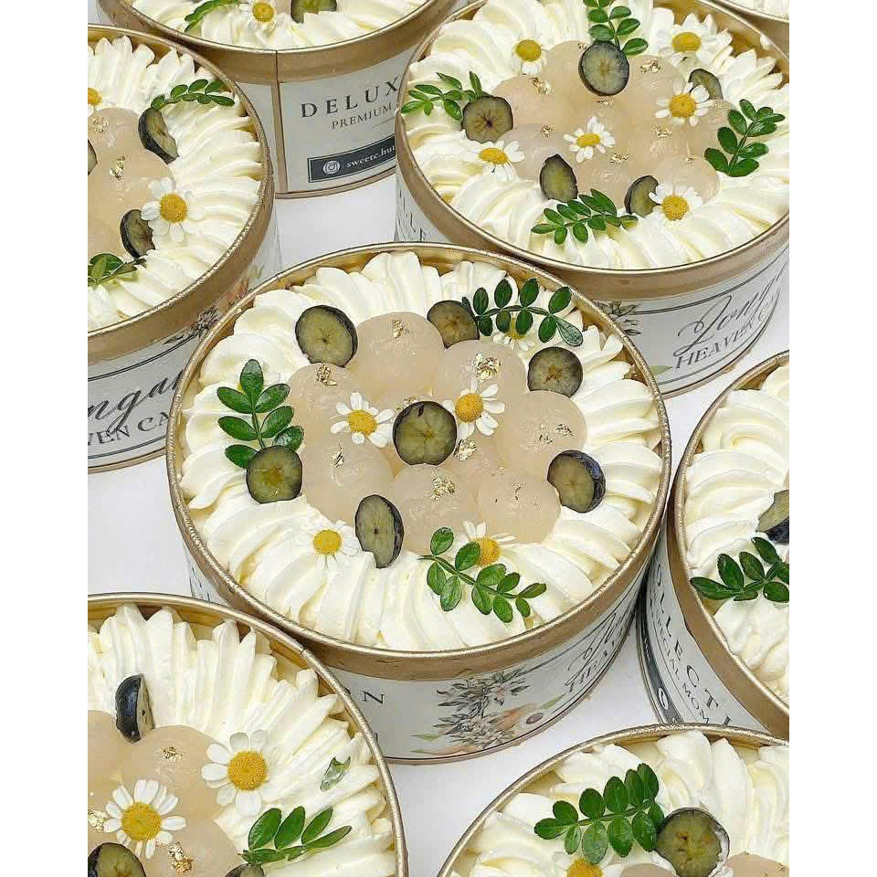 Hộp Thiếc Tròn và Vuông Đựng Tiramisu, Bánh Lạnh, Socola, Đựng Hạt Siêu Hot