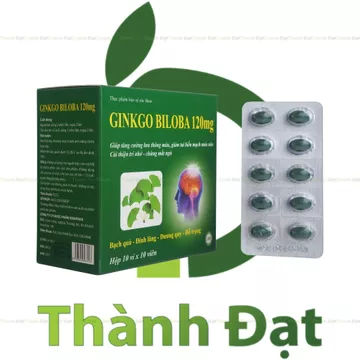 (Xanh Lá) Viên uống GINKGO BILOBA 120mg giúp tăng cường trí nhớ - Hộp 100 Viên