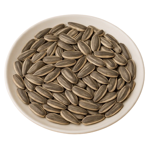 Hạt Hướng Dương Việt San 100g - Hạt To Mẩy, Bùi Béo, Giòn Tan