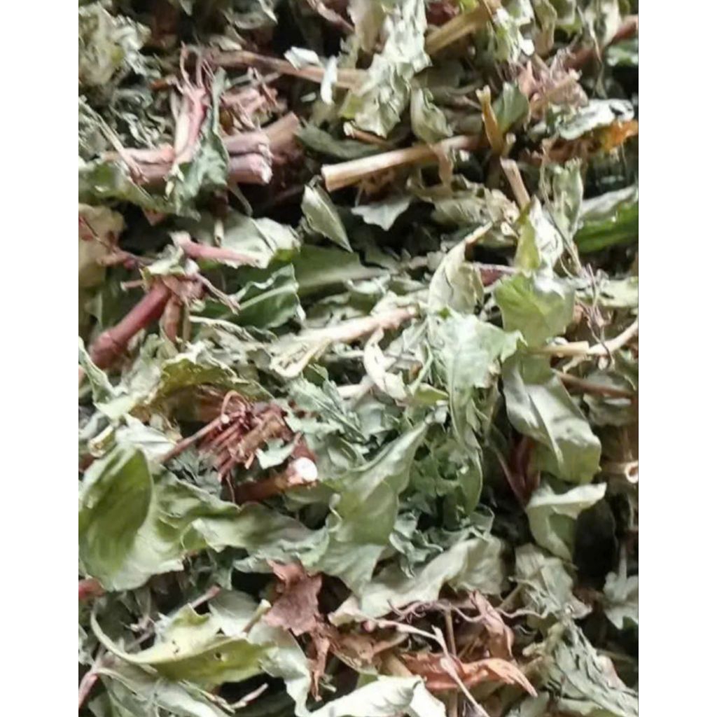 Cây Nghể Răm Khô / Cây Nghể Răm T.rị S.án C.hó _ Gói 1KG | Shopee Việt Nam