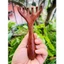Lược gỗ đàn hương massage chăm sóc tóc, giảm đau mỏi, thư giãn cơ thể - Mỹ nghệ dưỡng sinh HT