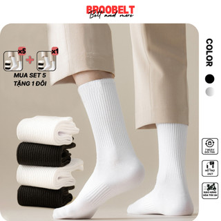 Set tất nam cổ cao, trung chất cotton vớ dài nữ trơn basic khử mùi thoáng khí phong cách đơn giản