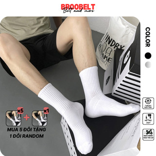 Tất vớ nam nữ trơn cổ cao, trung, thấp màu đen trắng basic chất dày loại 1 phong cách unisex Hàn Quốc