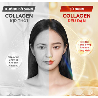 Viên uống Collagen Sắc Ngọc Khang - Hạn chế lão hóa, giảm nếp nhăn, làm đẹp da (Hộp 60 viên)