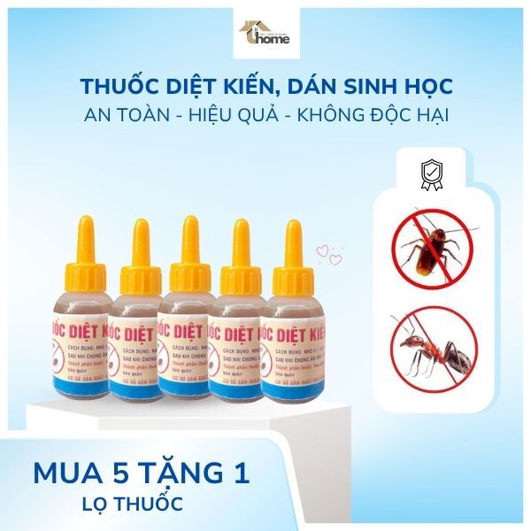 Thuốc kiến dán sinh học, kiến gián tận gốc - An toàn Hiệu Quả không độc hại_Phụ Kiện In Home