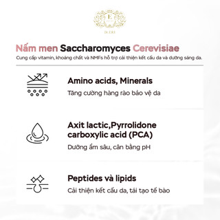 Nước Thần E-SPECIAL MOISTURE LOTION Tích Hợp Toner Cân Bằng pH, Cấp Ẩm Và Phục Hồi Chuyên Sâu 150m