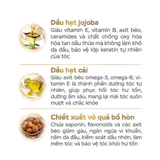 Dầu Xả Tế Bào Gốc E-SPECIAL EXO SCALP& HAIR MASK MD Hỗ Trợ Phục Hồi Nang Tóc Cung Cấp Dinh Dưỡng Cho Tóc 300ml