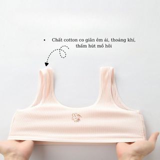 COMBO 3 Áo lót học sinh dây bản to không đệm mút hai lớp chống lộ họa tiết thỏ cute DEVARI B8574