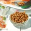 Thức ăn hạt mềm chức năng Soft Balance cho chó