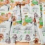 Thức ăn hạt mềm chức năng Soft Balance cho chó