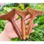 Cây Mát Xa Gỗ Đàn Hương - Thư Giãn, Giảm Căng Cơ Mặt, Mát Xa Cơ Thể