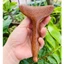 Cây Mát Xa Gỗ Đàn Hương - Thư Giãn, Giảm Căng Cơ Mặt, Mát Xa Cơ Thể