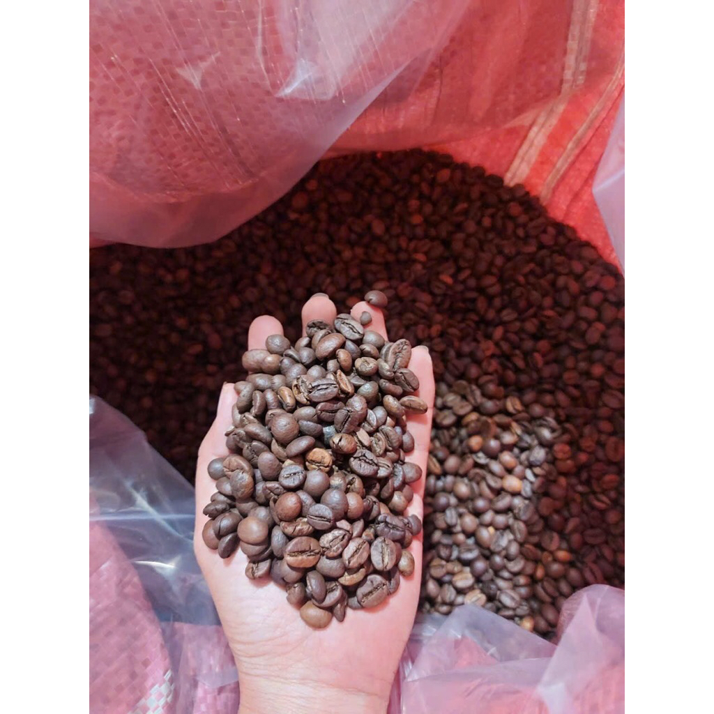 5kg Cà phê giá Sỉ Hạt Và Bột Robusta S18 Rang Bơ