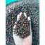Cà phê Hạt , Bột Robusta50%Mix Culi 50% S18
