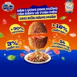 [V] Combo 6 Thức ăn hạt thơm ngon/ giảm nôn trớ cho mèo từ Nhật Bản Silver Spoon - Vị gà, cá (1kg/800g) — ảnh 8
