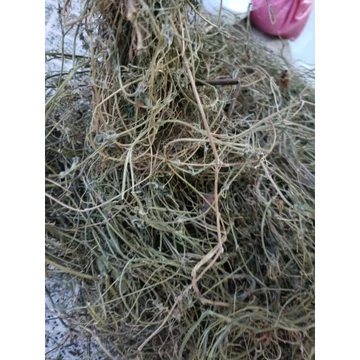 1kg Dây - lá khổ qua rừng khô - Dây - lá khổ qua rừng khô