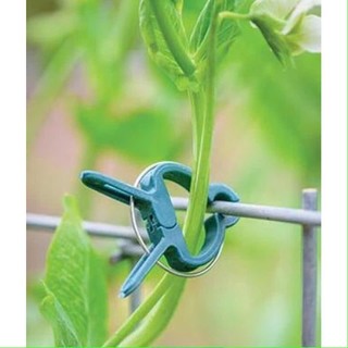 Kẹp Nhựa Cố Định Dây Leo, Kẹp Cà Chua, dưa lưới, nho.. / kẹp ngọn cây/ treo ngọn cây/ kẹp nhánh cây