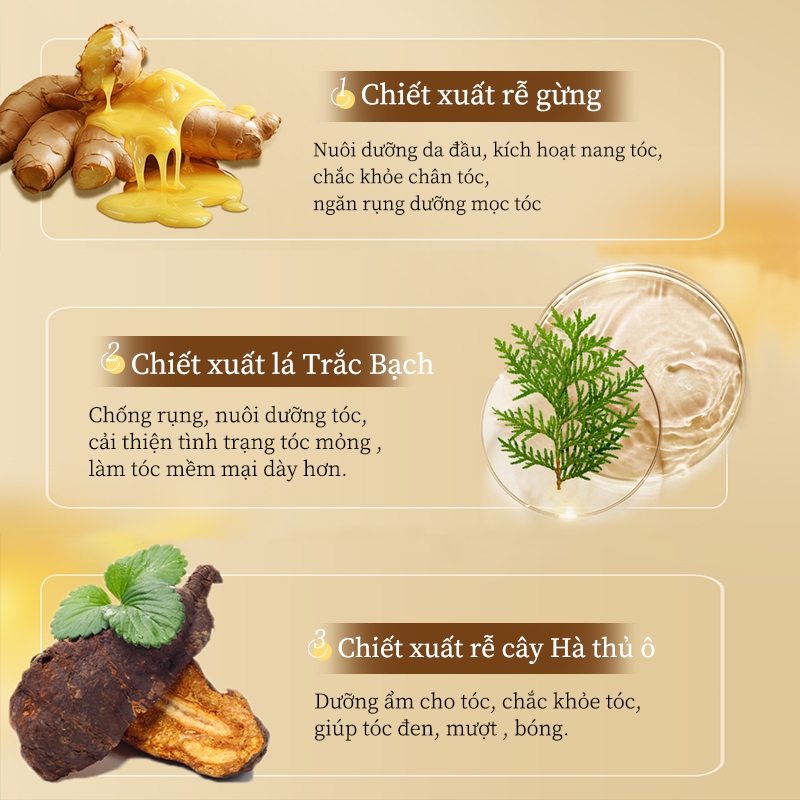 Dầu gội gừng Dầu gội mọc tóc Dầu gội chống rụng tóc Tóc mọc nhanh Giảm rụng tóc Chăm sóc tóc 300ml