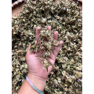 [KÈM CỎ NGỌT] Trà Hoa Atiso Sapa Khô Pha Trà, Hầm Canh, Túi Đóng Sẵn Tiện Lợi 250g/ 500g