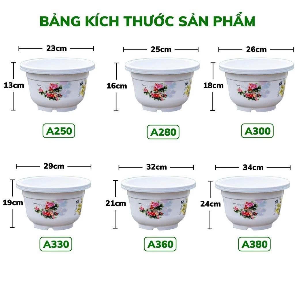 Chậu nhựa bốn Mùa trồng cây siêu đẹp, siêu rẻ