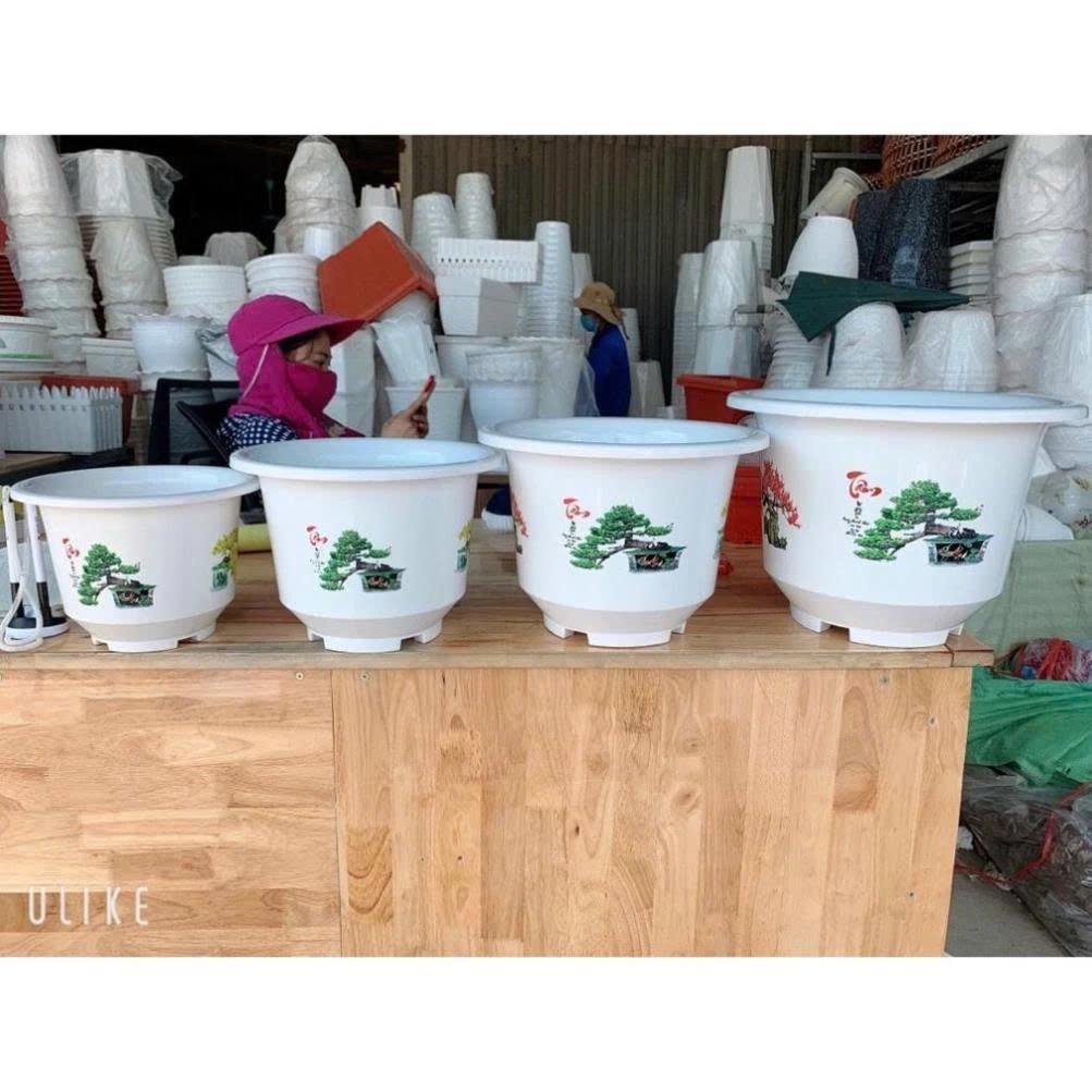 Chậu nhựa bốn Mùa trồng cây siêu đẹp, siêu rẻ