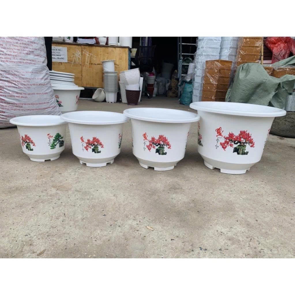 Chậu nhựa bốn Mùa trồng cây siêu đẹp, siêu rẻ