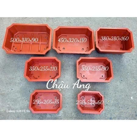 Chậu nhựa Ang chữ nhật 380 trồng cây bon sai, cây cảnh kt miệng dài 37cmx rộng 27cmx cao 15cm