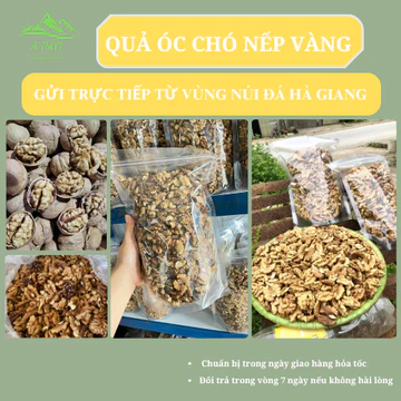 Quả óc chó và nhân hạt óc chó tách vỏ thơm bùi, ngon ngọt, hạt dinh dưỡng cho bà bầu, ăn kiêng - Sẵn hàng