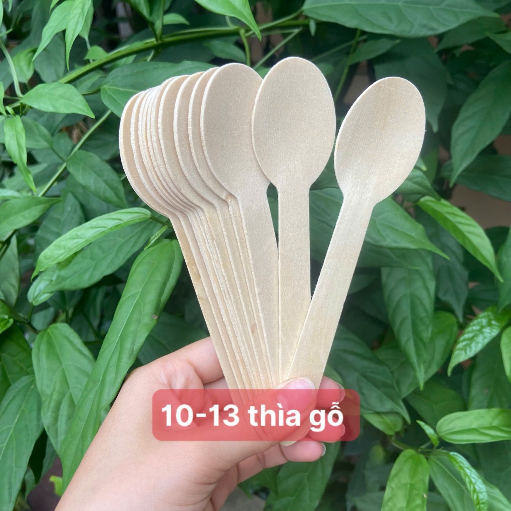 Set đầy đủ đồ dùng 1 lần chén bát, tô, muỗng, ly, thìa đũa  đi dã ngoại - du lịch..đựng xôi cúng thôi nôi, đầy tháng