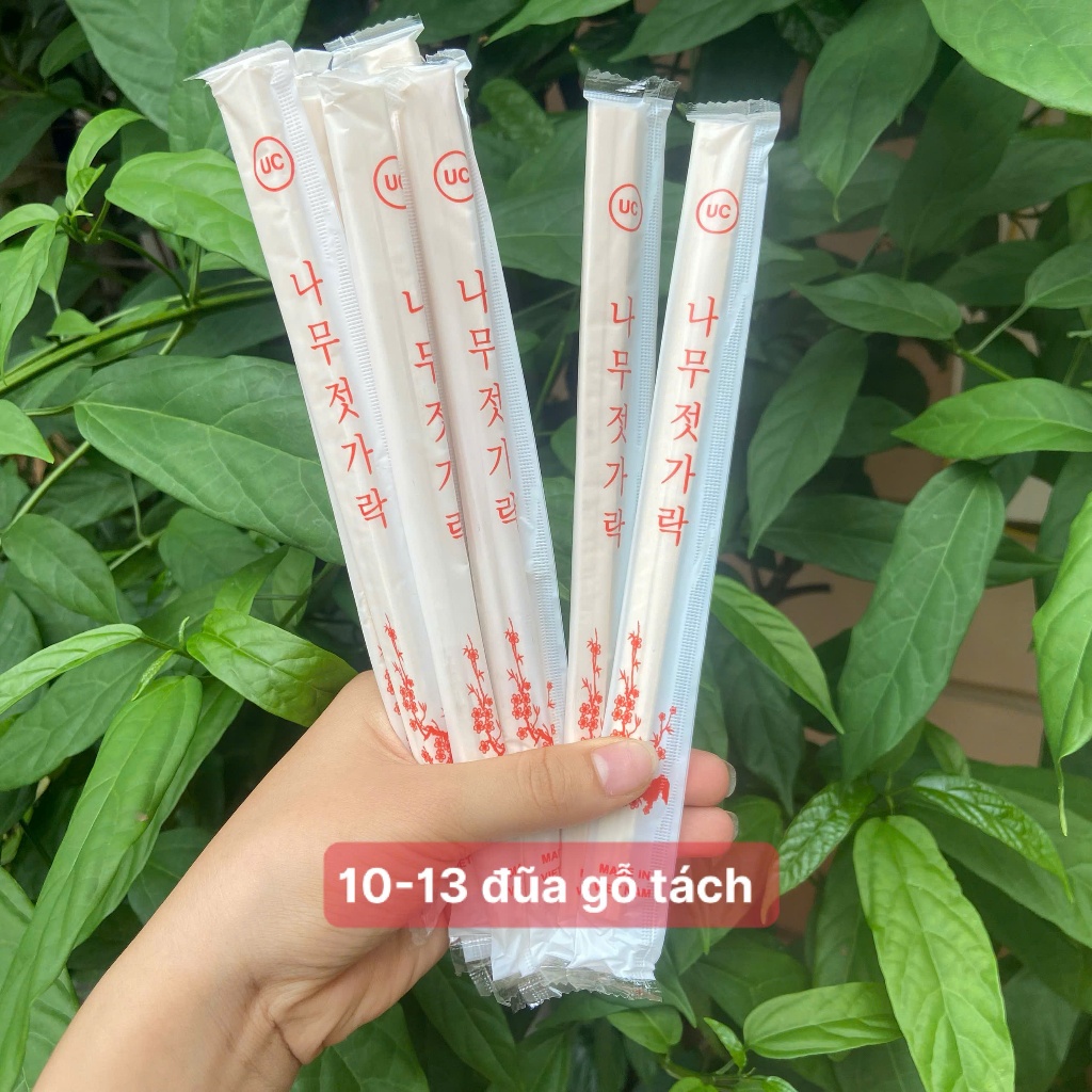 Set đầy đủ đồ dùng 1 lần chén bát, tô, muỗng, ly, thìa đũa  đi dã ngoại - du lịch..đựng xôi cúng thôi nôi, đầy tháng