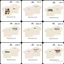 Áo thun Boxy TL - ĐỊNH LƯỢNG 260GSM chất liệu 100% COTTON