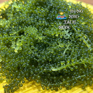Combo 10 gói rong nho tách nước 100g/gói, rong nho tách nước Nông Sản Dũng Ca