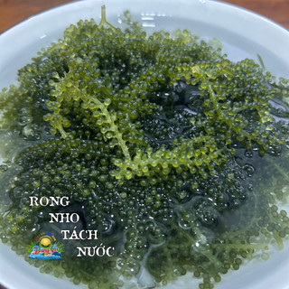 Combo 5 gói rong nho tách nước 100g/gói, rong biển rong nho tách nước Nông Sản Dũng Ca