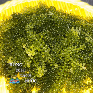 Combo 5 gói rong nho tách nước 100g/gói, rong biển rong nho tách nước Nông Sản Dũng Ca